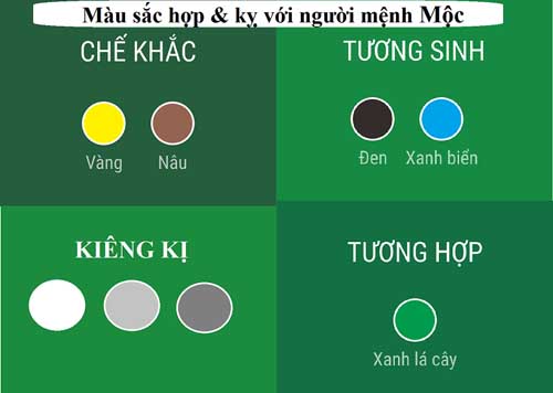 mệnh mộc hợp gì