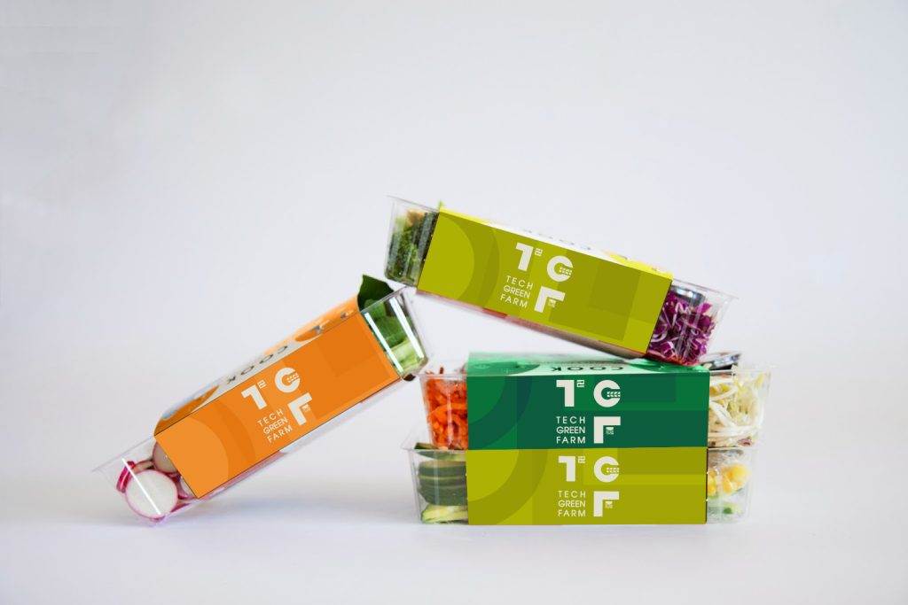 Techgreen farm - bộ nhận diện thương hiệu ngành nông nghiệp