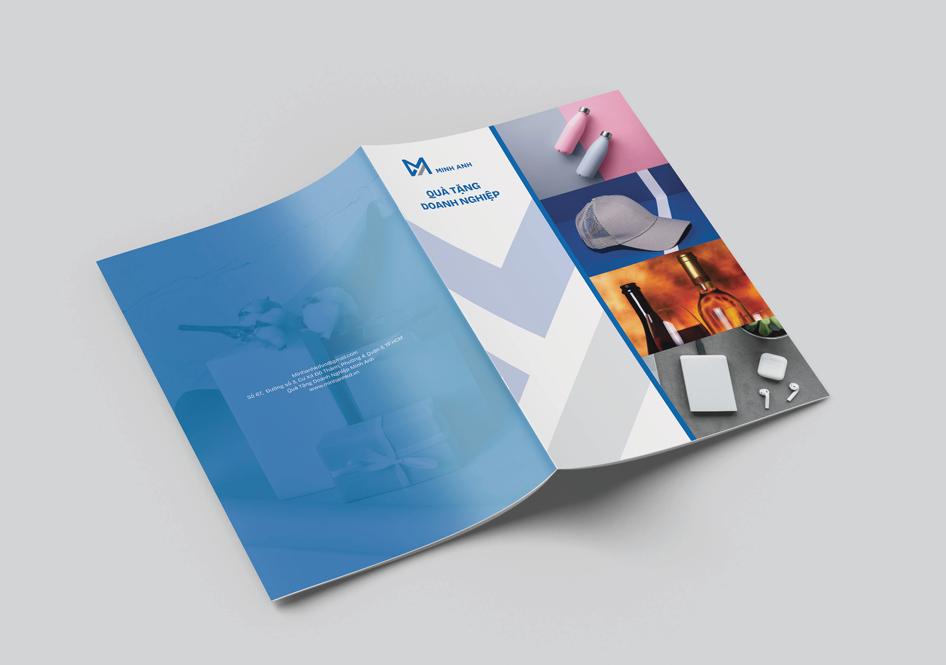 thiết kế profile Minh Anh - b2b