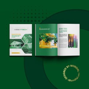 Dự án thiết kế profile công ty Megatech