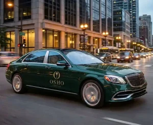 Thiết kế logo spa Osho